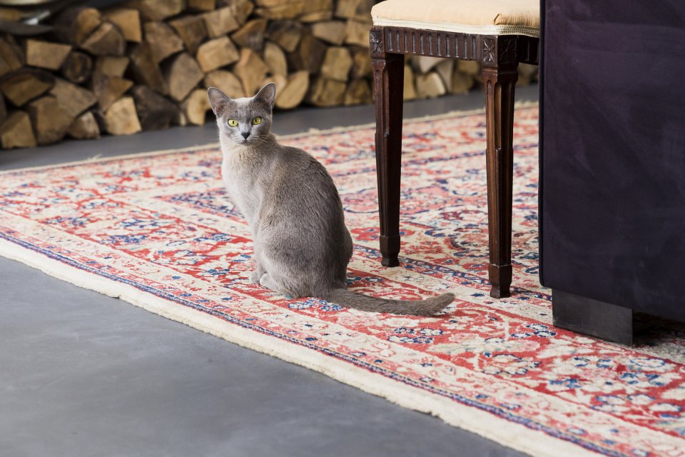 foto van Gonnie huisgenote van Lara