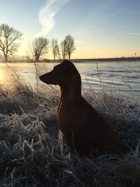 Lara van Het Woldhuis