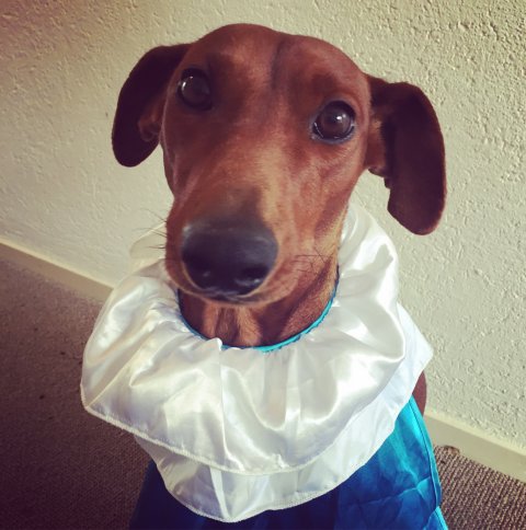 Lara van Het Woldhuis