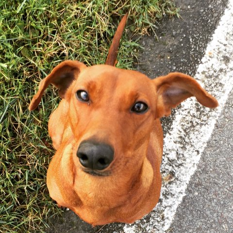 Lara van Het Woldhuis