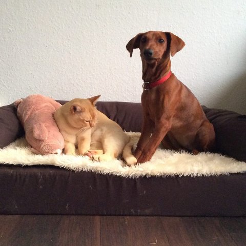 Lara van Het Woldhuis