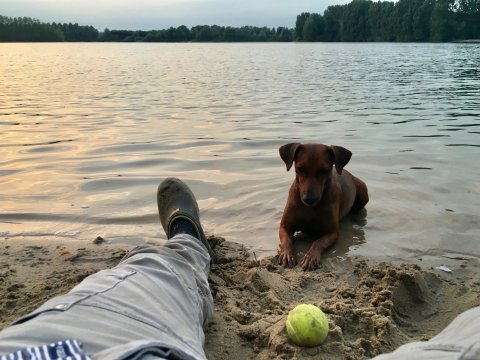 van Het Woldhuis Lara