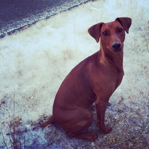 Lara van Het Woldhuis