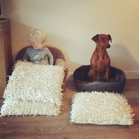 Lara van Het Woldhuis