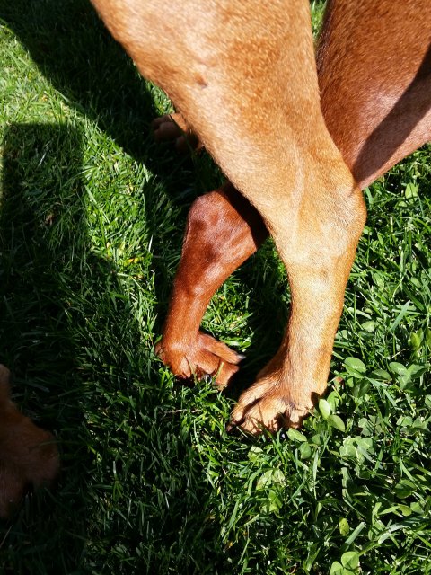 Lara van Het Woldhuis