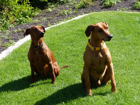 Lara van Het Woldhuis