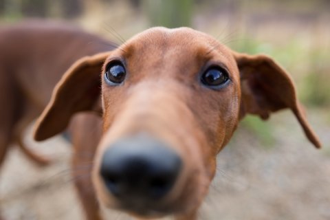 neusje Lara van Het Woldhuis