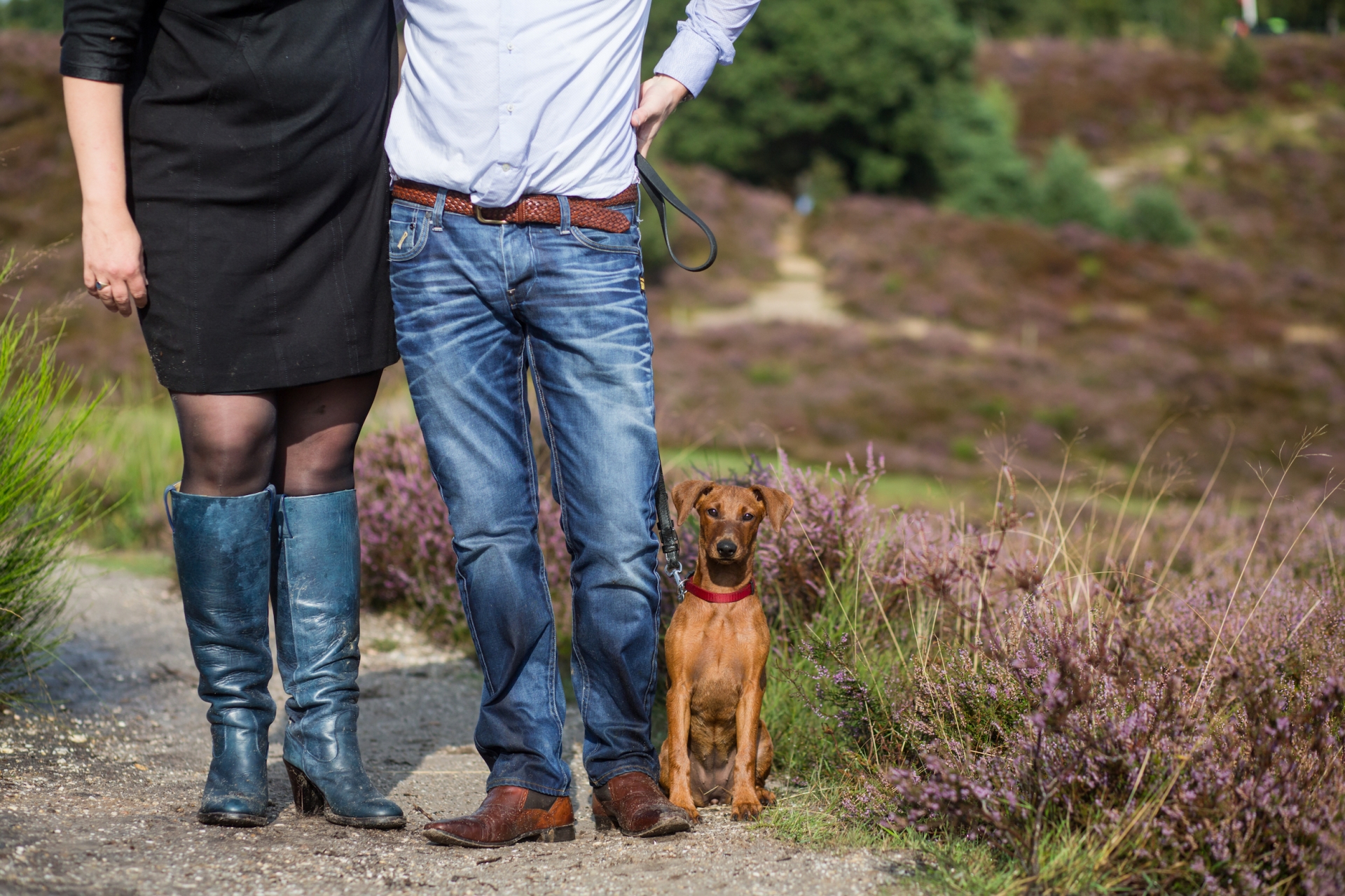 Over ons Kennel van het Woldhuis